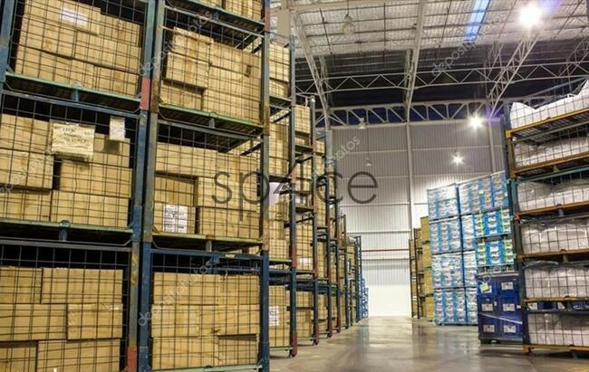 Hala. Magazyn, wysoki standard, Będzin, 5 000 m2