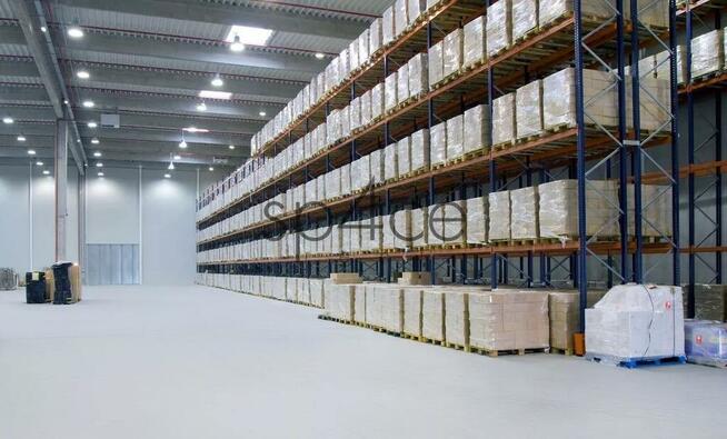 PANATTONI - Magazyn, Hala k/ Wrocław , 13259 m2