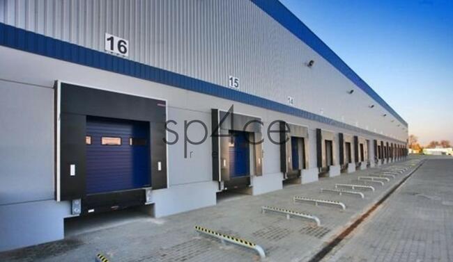 PANATTONI - Magazyn, Hala - Zabrze, 23250 m2