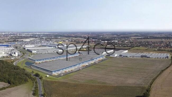 PANATTONI - Magazyn, Hala - Rzeszów , 21000 m2