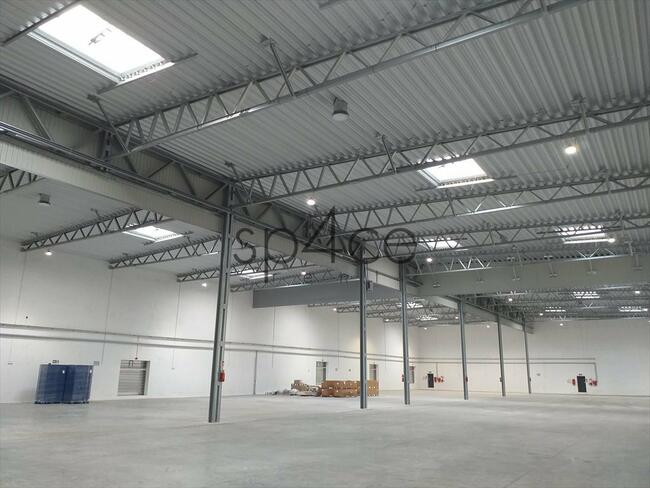 PANATTONI - Magazyn, Hala - Rzeszów , 21000 m2