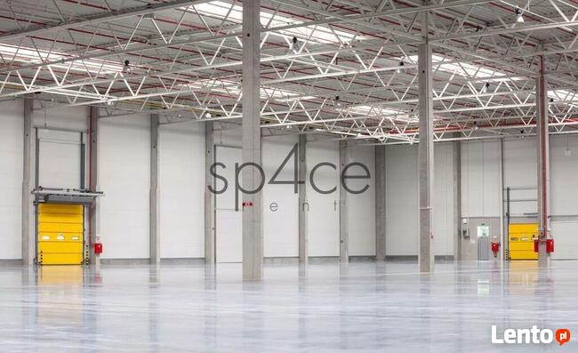 Magazyn. Hala Targówek, Warszawa 2300m2