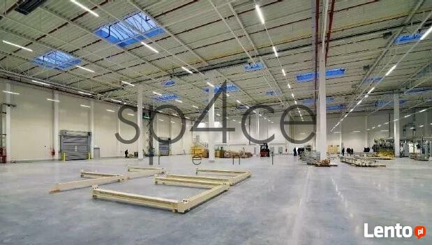 PANATTONI - Magazyn, Hala - Kraków , 4250 m2