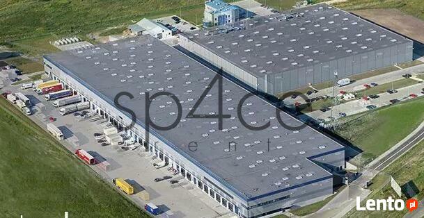 PANATTONI - Magazyn, Hala - Kraków , 4250 m2