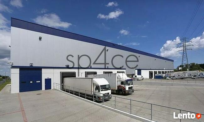 PANATTONI - Magazyn, Hala - Kraków , 4250 m2