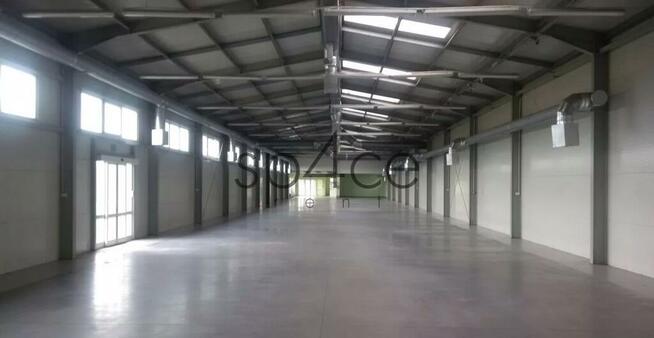 Piaseczno - Hala. Magazyn 1200 m2 + 200 m