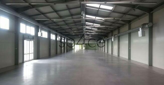 Piaseczno - Hala. Magazyn 1200 m2 + 200 m