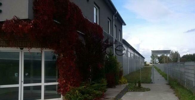 Piaseczno - Hala. Magazyn 1200 m2 + 200 m