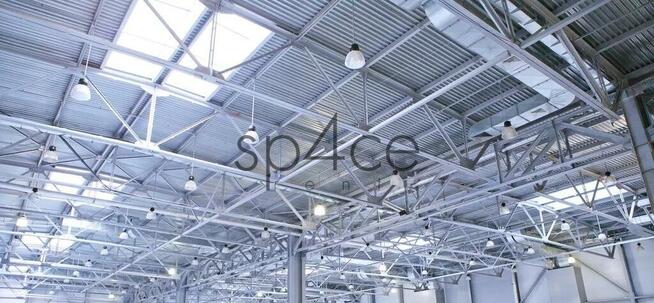 GOODMAN - Magazyn, Hala - Kraków , 4250 m2