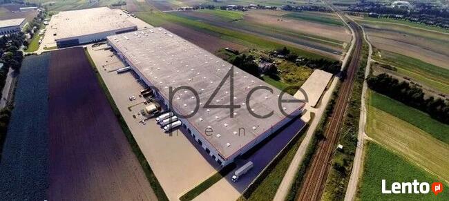 GOODMAN - Magazyn, Hala - Szczecin , 30250 m2