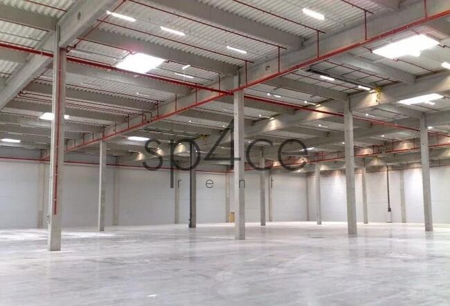 GOODMAN - Magazyn, Hala - Szczecin , 30250 m2