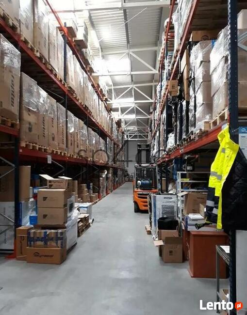 Hala. Magazyn 860 m2 - Grodzisk, Pruszków, Piastów