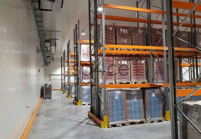 CHŁODNIA - 2300 m2 - Opole, Wrocław, Katowice NEW