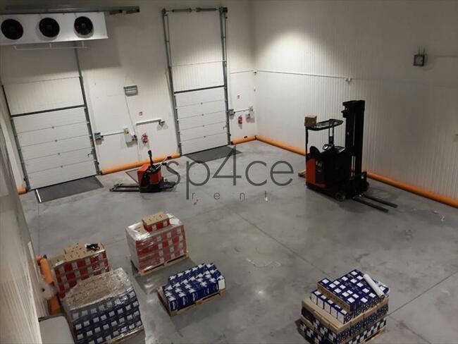 CHŁODNIA - 2300 m2 - Opole, Wrocław, Katowice NEW