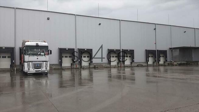 7000 m kw. do wynajęcia, Wrocław