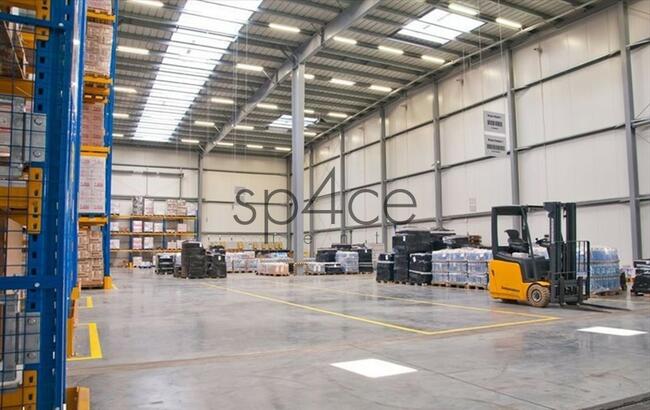 Hala. Magazyn 8000 m2 - Opole - pow Magazynowa