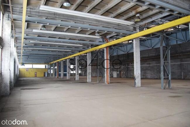 16000 m kw. do wynajęcia, Gorzów Wielkopolski