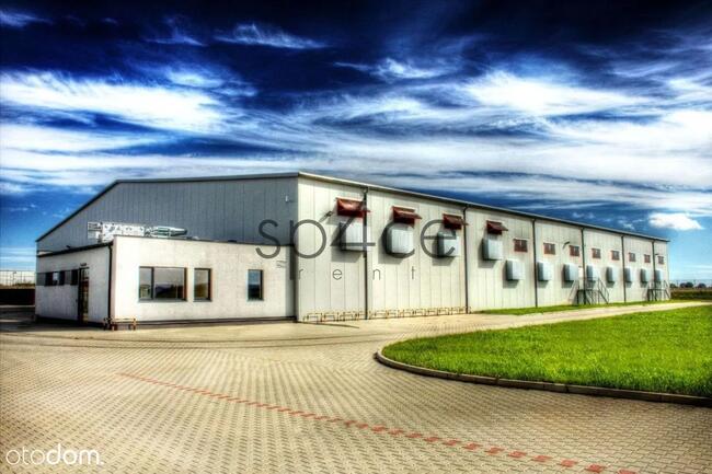 Hala produkcyjna 8500 m2 - Łódź