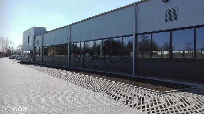 Wynajmę Magazyn . Hale - 2000m2 - LODZ + biura