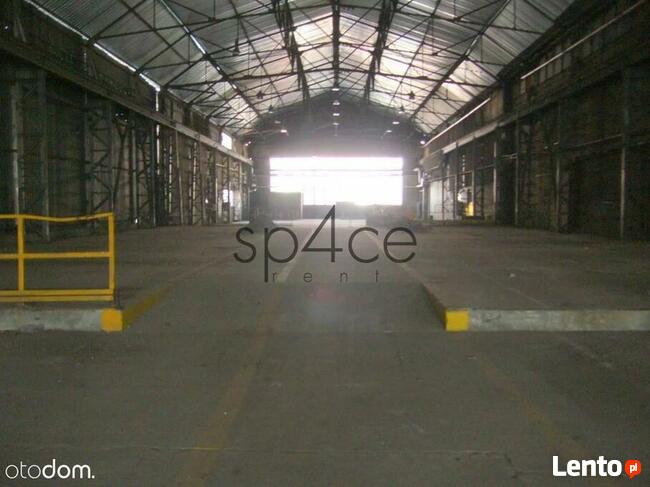 BEZPOSREDNIO . - Hala, Magazyn - TYCHY , Katowice