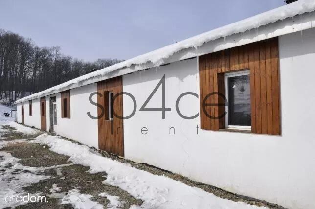 Hala / Magazyn , 1000 m², Przemyśl