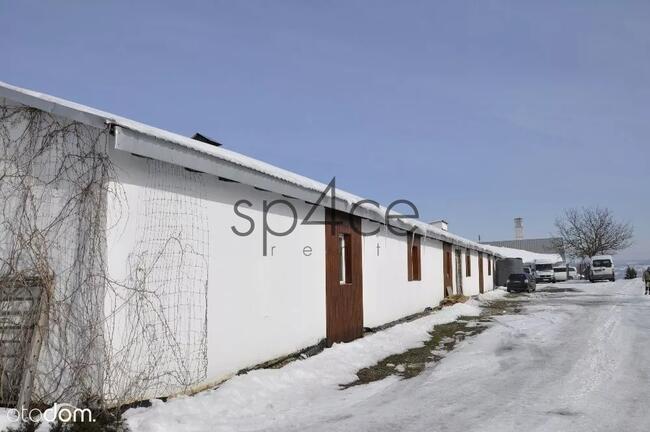 Hala / Magazyn , 1000 m², Przemyśl