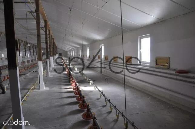 Hala / Magazyn , 1000 m², Przemyśl