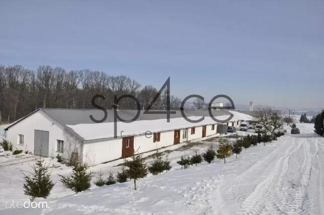 Hala / Magazyn , 1000 m², Przemyśl