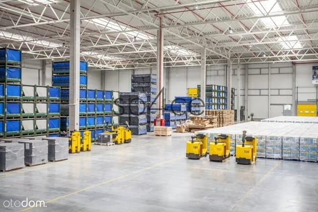 GLIWICE - 1000 m2, 2000 m2, 3000 m2. oraz 8000 m2