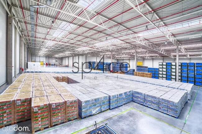 GLIWICE - 1000 m2, 2000 m2, 3000 m2. oraz 8000 m2