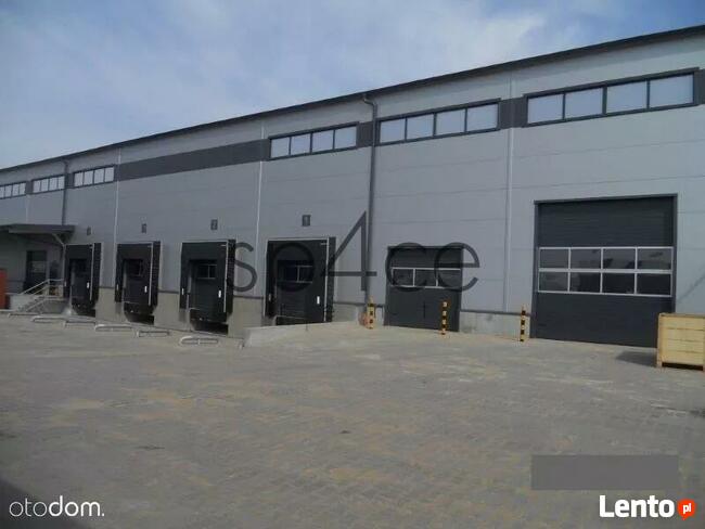 Hala.Magazyn 1200 m2, GDAŃSK, gdynia, - bezposred