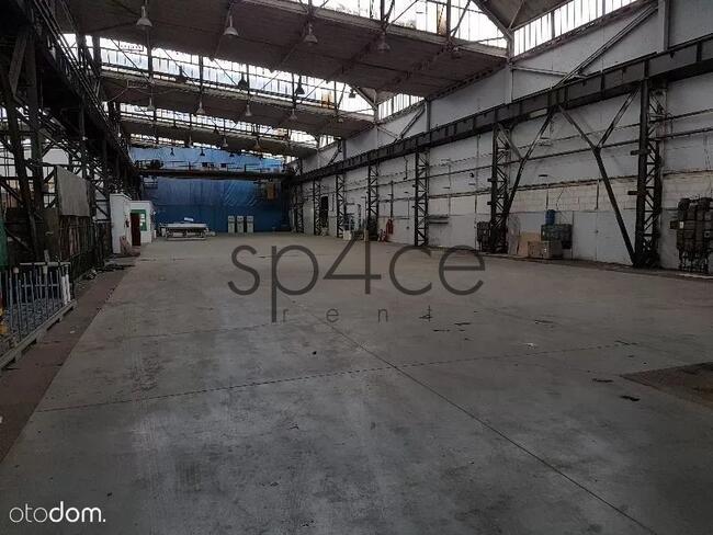 BEZPOSREDNIO . - Hala - suwnica 1000 / 6500 m2