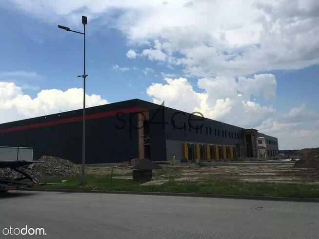 Hala/Magazyn , 3400 m², TYCHY , Ledziny