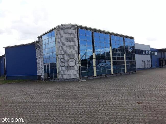 bezpośrednio - WARSZAWA - Magazyn, Hala - 4800 m