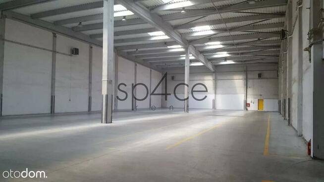 POZNAŃ - 1500 m2 , od zaraz. 10 m wys. Rampa