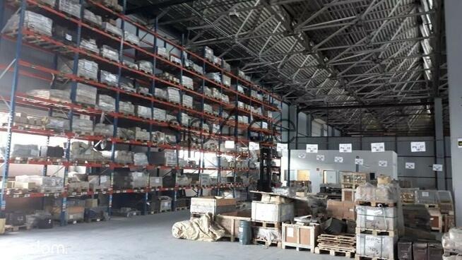 Hala - MAGAZYN - produkcja. 3648 m2 - SZCZECIN