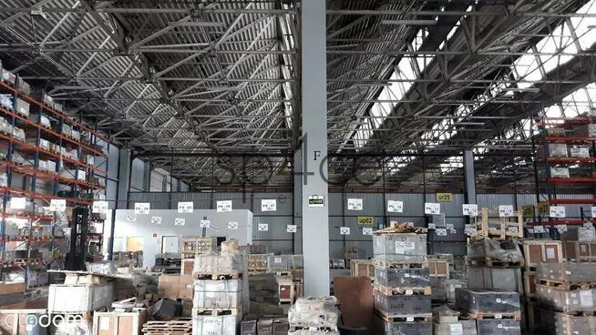 Hala - MAGAZYN - produkcja. 3648 m2 - SZCZECIN