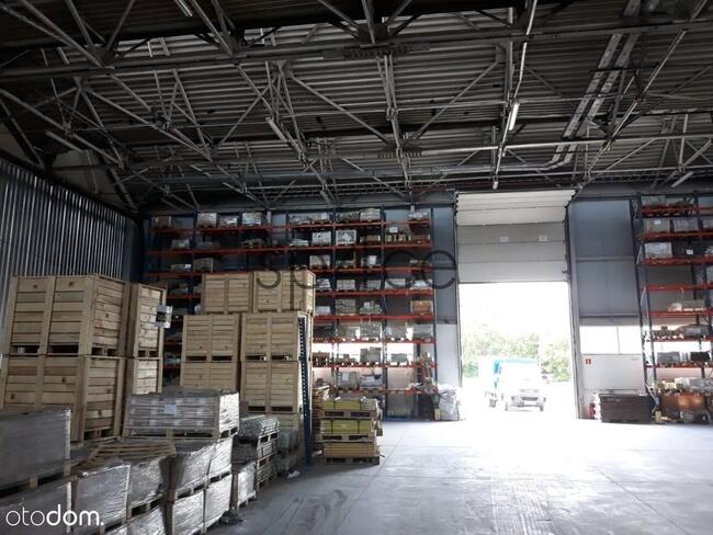 Hala - MAGAZYN - produkcja. 3648 m2 - SZCZECIN