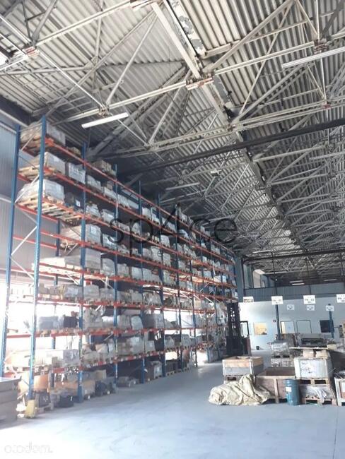 Hala - MAGAZYN - produkcja. 3648 m2 - SZCZECIN