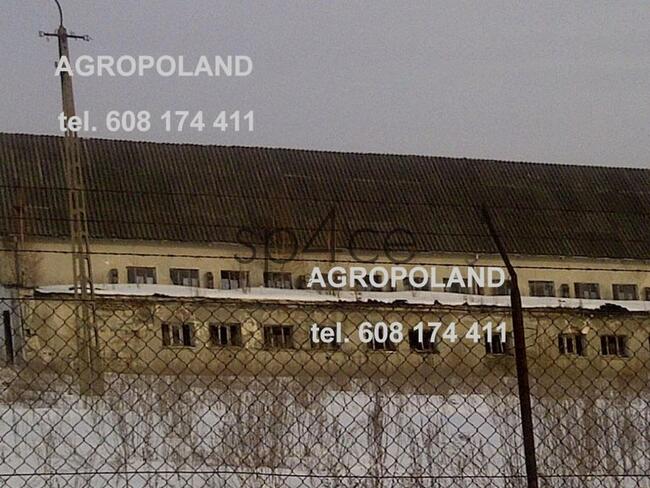 Pracujące GOSPODARSTWO ROLNE. - 700 ha