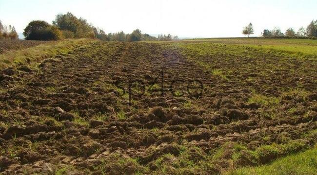 Pracujące GOSPODARSTWO ROLNE. - 700 ha