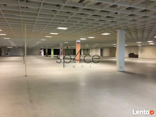 LOMIANKI - 10.000 m2. Rozrywka . Uslugi . KOMPLEKS