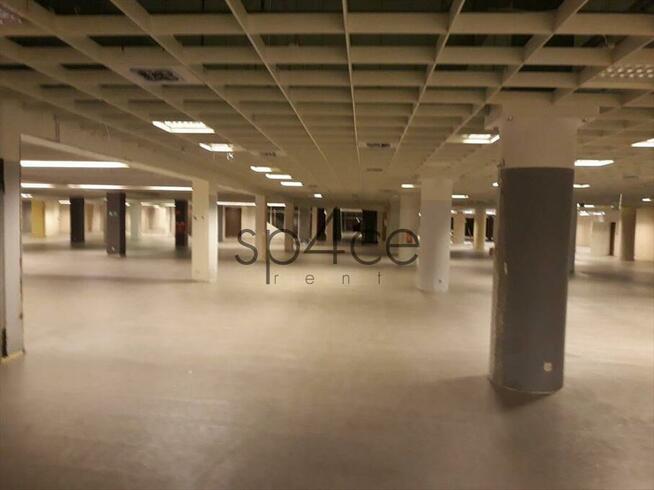 LOMIANKI - 10.000 m2. Rozrywka . Uslugi . KOMPLEKS
