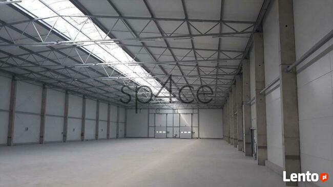 BEZPOSREDNIO - magazyn i Hala Produkcyjna 2200 m2