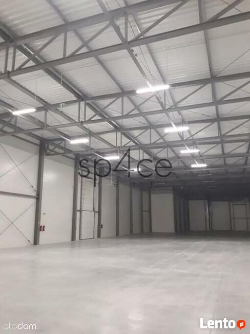 TORUN 3200 m2 - Wynajme Hala Magazyn