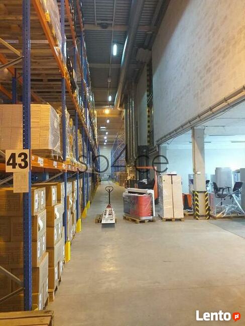 Bronisze - 2400 m2 - Magazyn