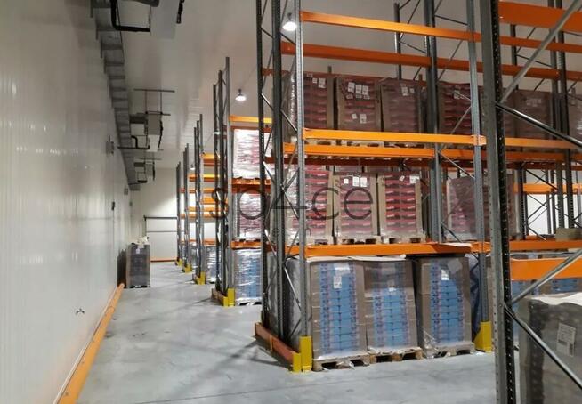 Hala magazynowa 2400 m2