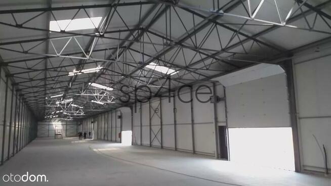 OPOLE - 1200 m2 - magazyn - BEZPOSREDNIO