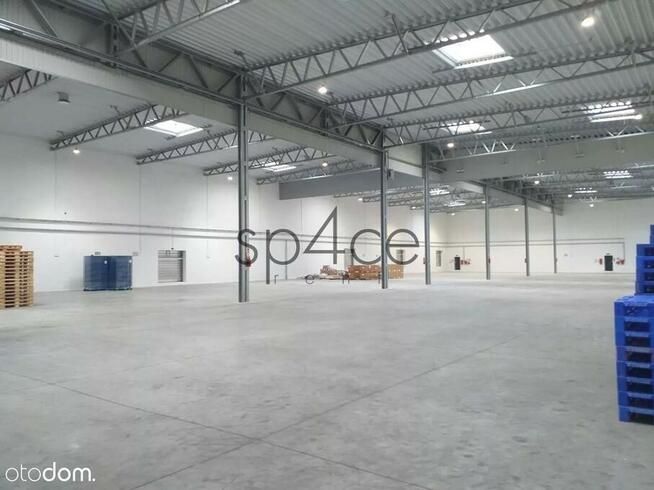LODZ - 3400 m2 - od już - BEZPOSREDNIO