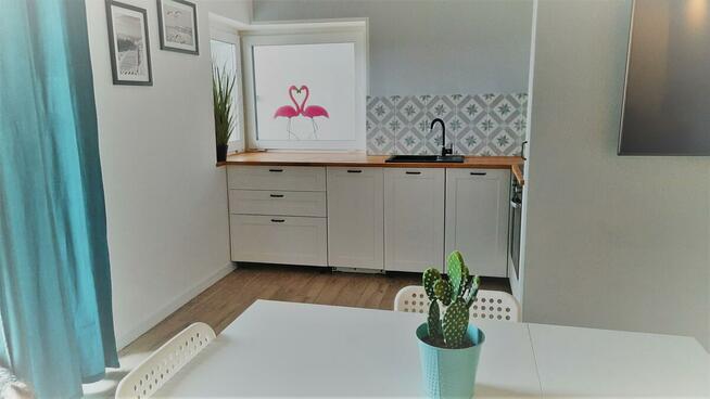 wynajmę domki w Dąbkach